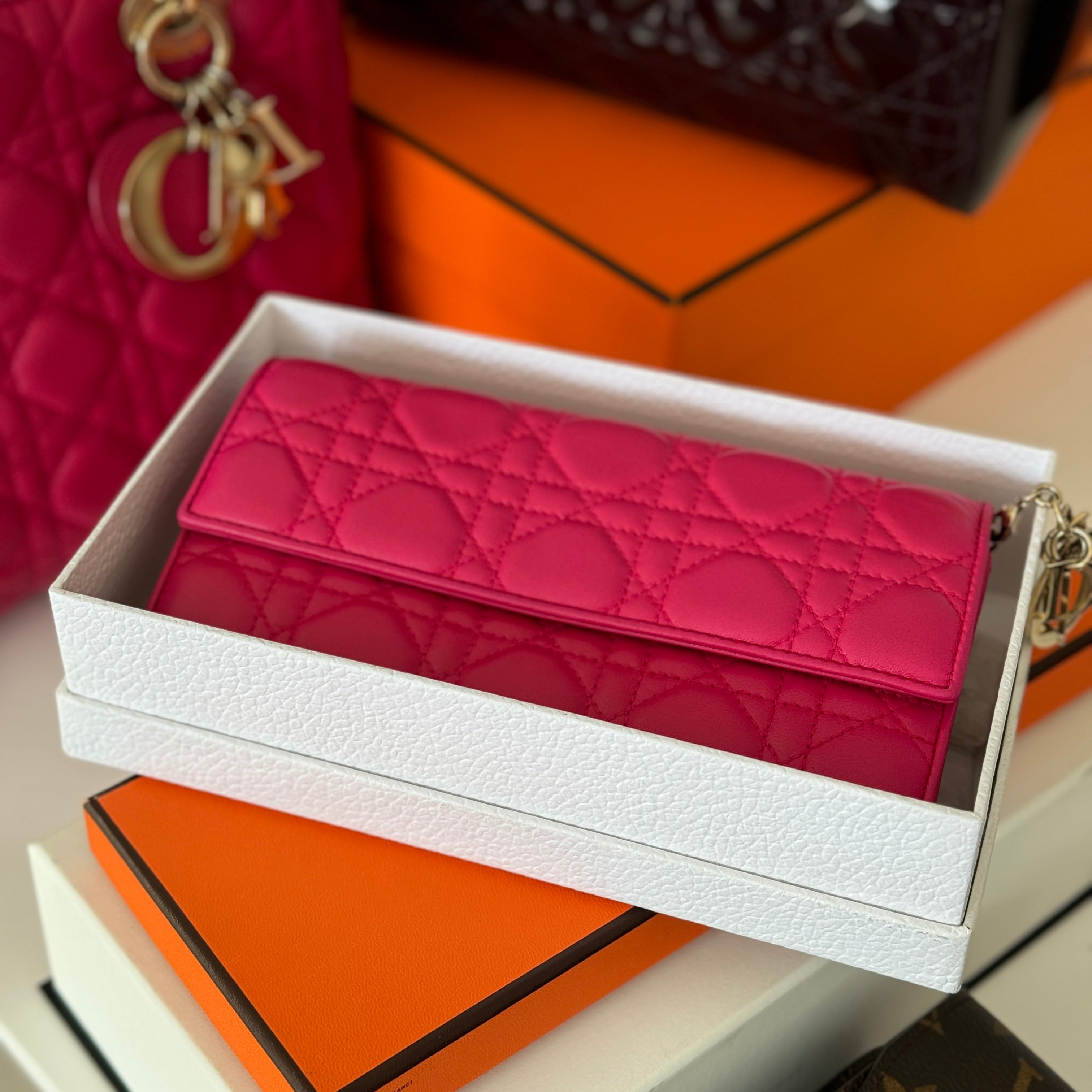 DIOR SMALL LEATHER GOODS